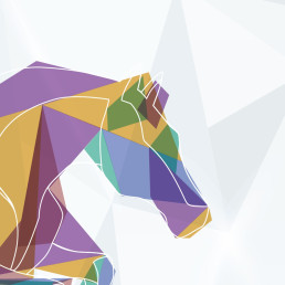 Zoom 3 - Affiche Grand Prix Classic 2016