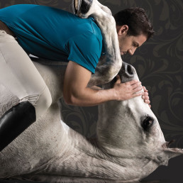 Zoom 2 - Affiche Santi Serra Spectacle