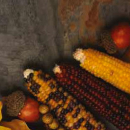 Zoom 3 - Catalogue Brake