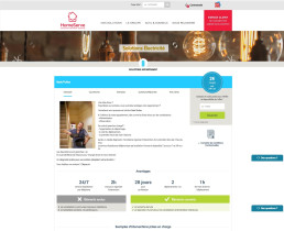 Page web Homeserve dédiée aux solutions électricité, illustrée par des ampoules décoratives.