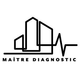 Version monochrome du logo Maître Diagnostic, mettant en avant la structure.