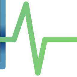 Zoom 3 - Maitre Diagnostic