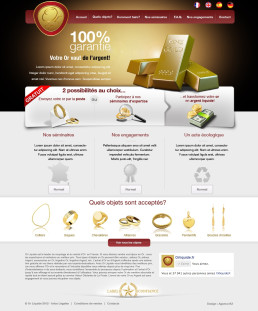 Photographie de l'interface utilisateur web pour le service OrLiquide.